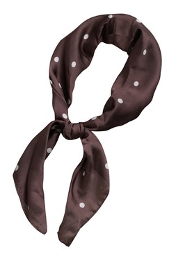 Brown Polka Dot Print Satin Scarf, £7.99 (951570929)