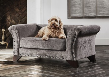 https://az.prshots.de/contents/archives/194/254/images/thumb350x287_auto/furniture_village_furniture-village-holly-fabric-pet-bed-with-st_74115_thumb.jpg