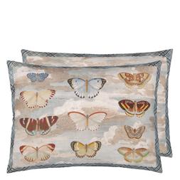 BUTTERFLY STUDIES PARCHMENT CUSHION CCJD5089