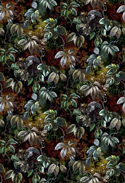 JANGAL_FDG2984_01