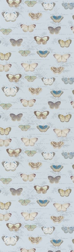 AW23 John Derian F&W Flatshots