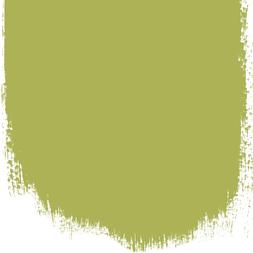 GREENAGE 100