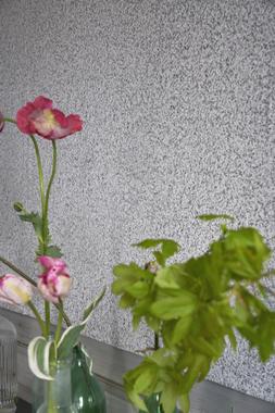 TULIPA STELLATA COLLECTION