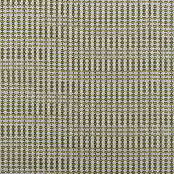 BERWICK - ALCHEMILLA