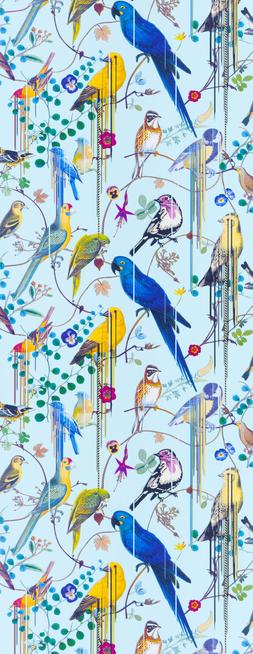 BIRDS SINFONIA - SOURCE