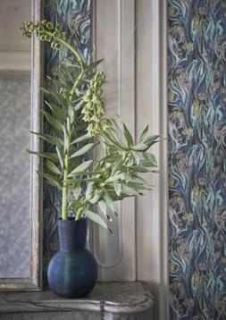 JARDIN DES PLANTES COLLECTION