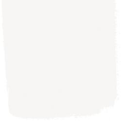 STUCCO WHITE 5