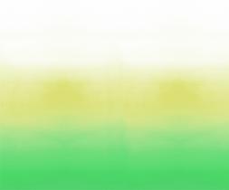 SAVOIE - LEMONGRASS