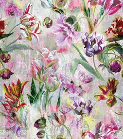 TULIPA STELLATA - FUCHSIA