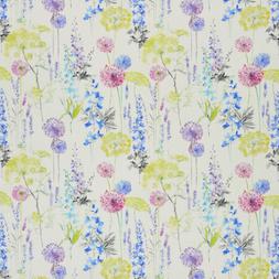FLEUR SAUVAGE - DELPHINIUM