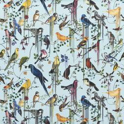 BIRDS SINFONIA - SOURCE