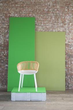 DESIGNERS GUILD EMERALD & FENOUIL PAINT