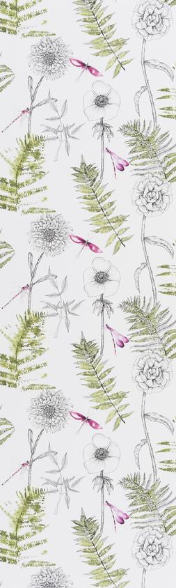 ACANTHUS-MOSS