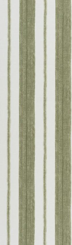 SCILLO SAGE