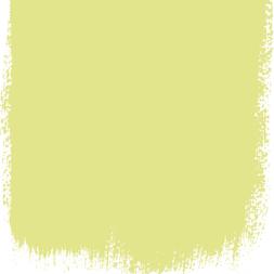 ALCHEMILLA 112