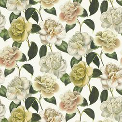 CAMELLIA FOLLY - PARCHMENT