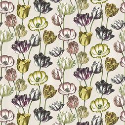 VARIEGATED TULIPS - BUTTERMILK