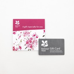 National Trust gift card, blossom