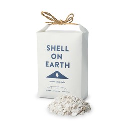50058446 £6 Shell on Earth