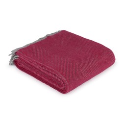 50074730 £50 Fuchsia Wool Throw - MAY ONWARDS