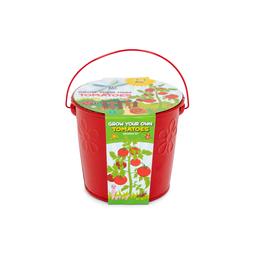 Children's Grow Your Own Bucket, Tomatoes