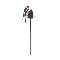 Pot stem, goldfinch on a teasel