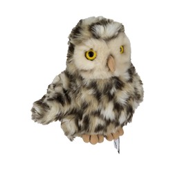 Living Nature Little Owl £13