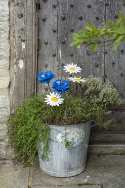 National Trust plant stakes lifestyle, portrait