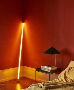 HAY Neon Tube LED Light