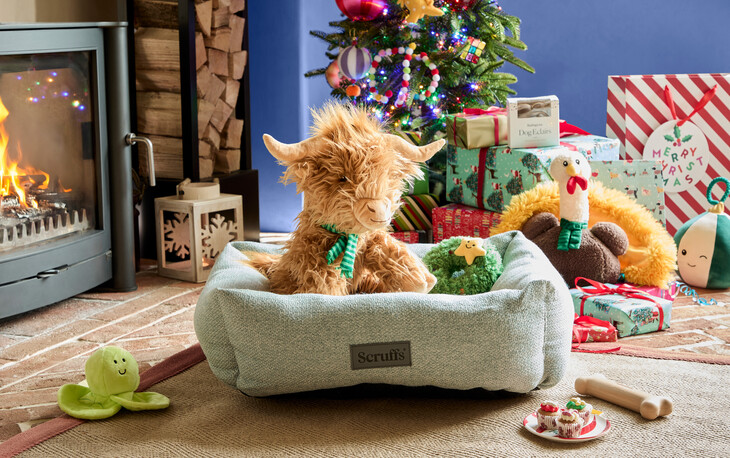 dobbies garden centres-its christmas dog bed-ref2141880