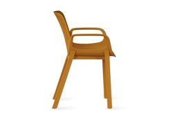 Renex Chair Mustard