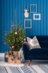 https://az.prshots.de/contents/archives/2441/1193/images/thumb350x287_auto/michael_murphy_home_furnishing_dsc07949_thumb.jpg
