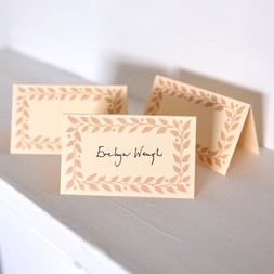 Pack of Twelve Plaster Pink Place Cards