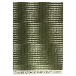 Patterned Paper Seed Olive