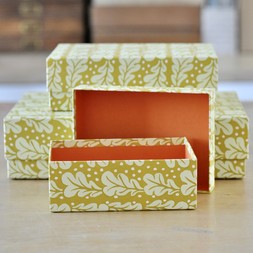 A Nest of Three Simple Boxes in Quercus Sap Green