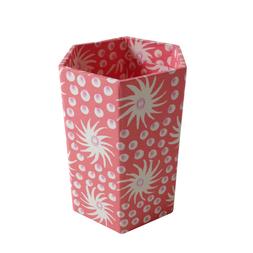 Hexagonal Pencil Pot Milky Way Pink and Old Red