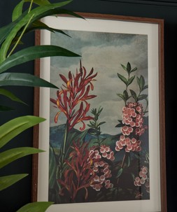Tropical Floral Framed Prints Set Of 3 £75