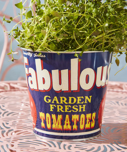 Retro Tomato Tin Planters Set £15