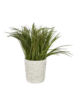 Homesense Image Id 972748