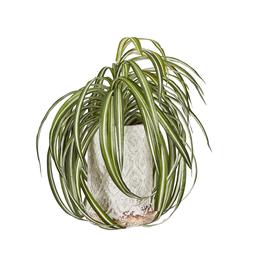 Homesense Image Id 972611