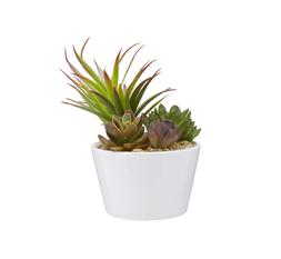 Faux Plant in White Pot