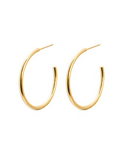 Janis Shiny Gold Tone Waterproof Small Hoop Earrings