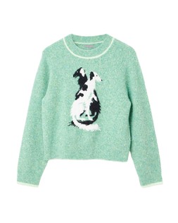 Oliver Bonas Dog Jumper £60