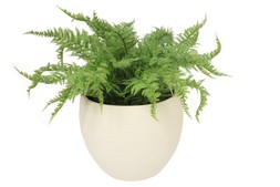 B&M GARDEN SS26 // PLANTERS, POTS & FOLIAGE // XL RIBBED PLANTER WITH ARTIFICIAL FERN IN CREAM POT // £25 //
