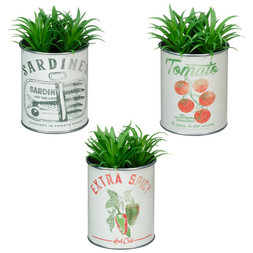 B&M HOME SS26 // ISLE LIFE - LIMITED TIME ONLY // SUCCULENT IN METAL POT // £3 EACH OR 3 FOR £8 //