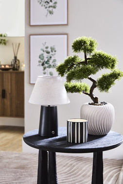 B&M HOME SS26 // JAPANDI CALM // LUANNE BATTERY OPERATED BLACK LAMP £12 // LARGE BONSAI £20 // BLACK AND WHITE STRIPE CANDLE £4 //