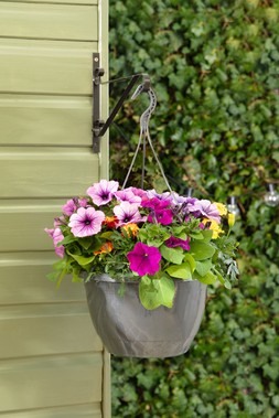 2 for £15 Spring Hanging Pots
