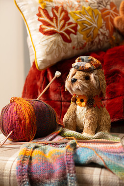 Autumn Home Dec Lifestyle