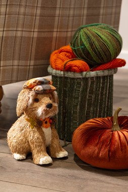 Autumn Home Dec Lifestyle