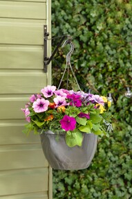 https://az.prshots.de/contents/archives/3552/1530/images/thumb350x287_auto/dobbies-garden-centres_2-for-gbp15-spring-hanging-pots-lifestyle_b1462_thumb.jpg